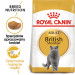 Royal Canin British Shorthair Adult suché krmivo pro kočky 4 kg Dospělý jedinec - Fotogalerie 3