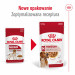 ROYAL CANIN SHN Medium Adult in sauce - vlhké krmivo pro dospělé psy - 10x140g - Fotogalerie 2