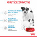 ROYAL CANIN SHN Mini Starter Mother & Babydog - suché krmivo pro psy - 4 kg - Fotogalerie 9