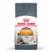 ROYAL CANIN Hair&Skin Care Adult - suché krmivo pro kočky - 400g - Fotogalerie 1