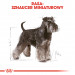 ROYAL CANIN Miniature Schnauzer Adult - suché krmivo pro psy - 3 kg - Fotogalerie 7