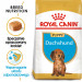 Krmiva Royal Canin SHN Breed Dachshund Jun 1,5 kg - Fotogalerie 8