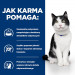 HILL'S PD I/D Digestive Care Chicken - suché krmivo pro kočky - 3kg - Fotogalerie 3