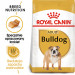 ROYAL CANIN Bulldog Adult - suché krmivo pro psy - 12 kg - Fotogalerie 8