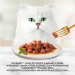 Purina 7613032947972 šťavnaté krmivo pro kočky 85 g - Fotogalerie 11