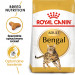 Royal Canin Bengal Adult suché krmivo pro kočky 2 kg Dospělý jedinec Drůbež, Zeleninová - Fotogalerie 5