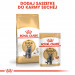 Royal Canin British Shorthair Adult suché krmivo pro kočky 4 kg Dospělý jedinec - Fotogalerie 4