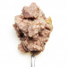3COTY Chicken Struvite care - mokré krmivo pro kočky - 24x80g - Fotogalerie 9