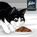 FELIX Tasty Shreds s hovězím a kuřecím masem - 4x 80g - Fotogalerie 4