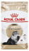 Royal Canin Persian suché krmivo pro kočky 4 kg Dospělý jedinec Kukuřice, Drůbež - Fotogalerie 10
