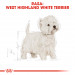 Royal Canin BHN West Highland White Terrier Adult - suché krmivo pro dospělé psy - 3kg - Fotogalerie 7