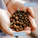 PERRO Duck with sweet potatoes Small breeds - suché krmivo pro psy - 3kg - Fotogalerie 2