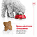 ROYAL CANIN Adult Mini S - suché krmivo pro psy - 8kg - Fotogalerie 2