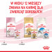 Royal Canin FHN Kitten Instinctive v želé - vlhké krmivo pro koťata - 12x85g - Fotogalerie 8