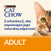  PURINA Cat Chow Chicken, Zucchini - vlhké krmivo pro kočky - 10x85 g - Fotogalerie 2