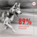 ROYAL CANIN Supplements Dog Joint & Ageing Adult - vitamíny pro psa - 240g - Fotogalerie 11