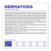 VET EXPERT Veterinary Diet Dermatosis Dog Losos & Brambor - suché krmivo pro psy - 12 kg - Fotogalerie 2