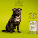 OLLO Pure Beef and Green tripe - vlhké krmivo pro psy - 400g - Fotogalerie 8