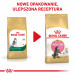 ROYAL CANIN Maine Coon Kitten - suché krmivo pro kočky - 4 kg - Fotogalerie 4