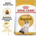 Royal Canin FBN Ragdoll Adult suché krmivo pro kočky 2 kg - Fotogalerie 4