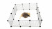 C&C Modulární výběh pro psy 145x75x37 cm - Fotogalerie 6