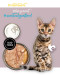 3COTY Turkey with goose For kittens - mokré krmivo pro kočky - 6x80g - Fotogalerie 6