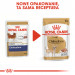 ROYAL CANIN Chihuahua - balení 12x85g - Fotogalerie 4