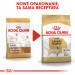 ROYAL CANIN Labrador Adult - suché krmivo pro psy - 12 kg - Fotogalerie 3
