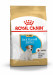 Royal Canin SHN Breed Jack Russell Junior - Suché krmivo pro psy Drůbež, Rýže - 3 kg - Fotogalerie 1