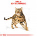 Royal Canin Bengal Adult suché krmivo pro kočky 2 kg Dospělý jedinec Drůbež, Zeleninová - Fotogalerie 9