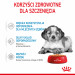 ROYAL CANIN SHN Medium Puppy in sauce - mokré krmivo pro štěňata - 10x140g - Fotogalerie 8