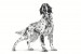 ROYAL CANIN Veterinary Renal suché krmivo pro psy - 2kg - Fotogalerie 2