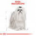 ROYAL CANIN Maltese Adult - suché krmivo pro psy - 1,5 kg - Fotogalerie 7