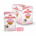 Royal Canin FHN Kitten Instinctive v želé - vlhké krmivo pro koťata - 12x85g - Fotogalerie 10