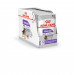 Royal Canin CCN Sterilised Loaf - mokré krmivo pro dospělé psy - 12x85g - Fotogalerie 4