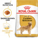 ROYAL CANIN BHN Golden Retriever suché krmivo pro psy - 12kg - Fotogalerie 8