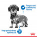 Royal Canin CCN MINI LIGHT WEIGHT CARE - suché krmivo pro dospělé psy - 3kg - Fotogalerie 9