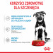 Royal Canin Maxi Puppy 10x140g - Fotogalerie 4