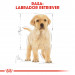 ROYAL CANIN SHN Breed Labrador Junior suché krmivo pro psy - 12 kg. - Fotogalerie 7