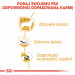 Royal Canin BHN West Highland White Terrier Adult - suché krmivo pro dospělé psy - 3kg - Fotogalerie 4