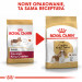 Krmivo Royal Canin SHN Breed Cavalier K C 1,5 kg - Fotogalerie 2