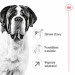 ROYAL CANIN Giant Adult - suché krmivo pro psy - 15 kg - Fotogalerie 9