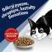 PURINA Felix Countryside Sensations - suché krmivo pro kočky - 1kg - Fotogalerie 5