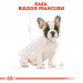 ROYAL CANIN French Bulldog Puppy - suché krmivo pro psy - 3 kg - Fotogalerie 8