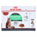 Royal Canin Digest Sensitive Care - vlhké krmivo pro kočky - 12x85g - Fotogalerie 4