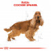 ROYAL CANIN Adult Cocker - suché krmivo pro psy - 12 kg - Fotogalerie 7