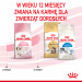 ROYAL CANIN Kitten - suché krmivo pro kočky - 2 kg - Fotogalerie 3