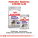 Royal Canin CCN Sterilised Loaf - mokré krmivo pro dospělé psy - 12x85g - Fotogalerie 10