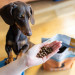 PERRO Beef with sweet potatoes Small breeds - suché krmivo pro psy - 1kg - Fotogalerie 2