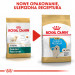 ROYAL CANIN Golden Retriever Puppy - suché krmivo pro psy - 12 kg - Fotogalerie 3
